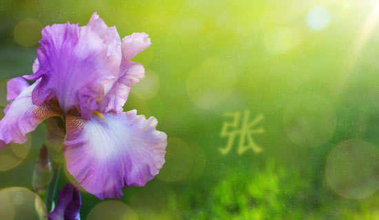 �ŵƽ��ӭ�´������ִ���