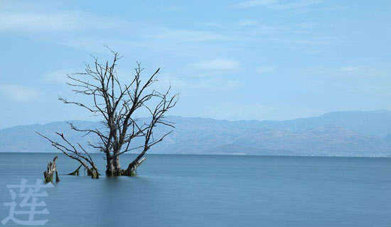 ����ʫ��