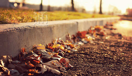 ͨ���´�����ѡ