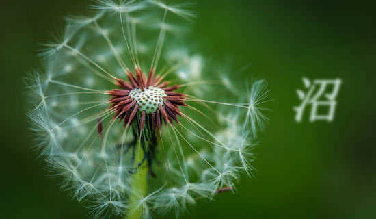 �������й�Ԣ�Թ���