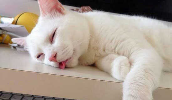 睡不着的晚安说说