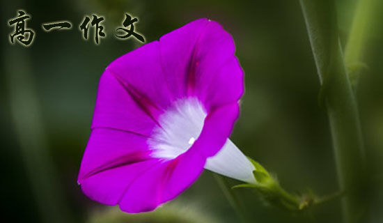 �ֵ����ٶ���ʱ��һ����