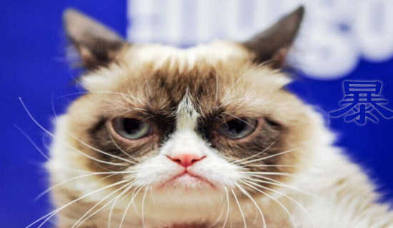 ������֮ҹ΢С˵