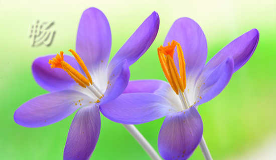 ���붫��ʫ��