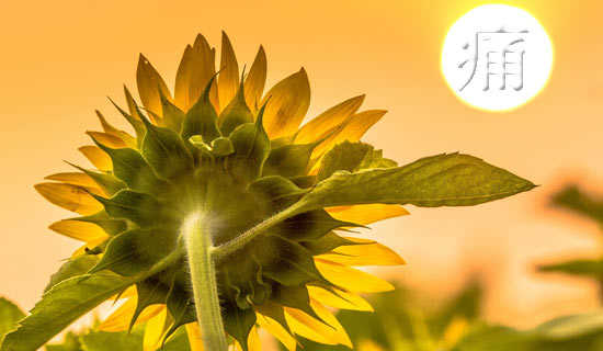 ʹ����������ķ���˵˵