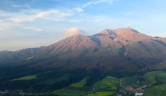 ɽ�ﺺ��СƷ�籾