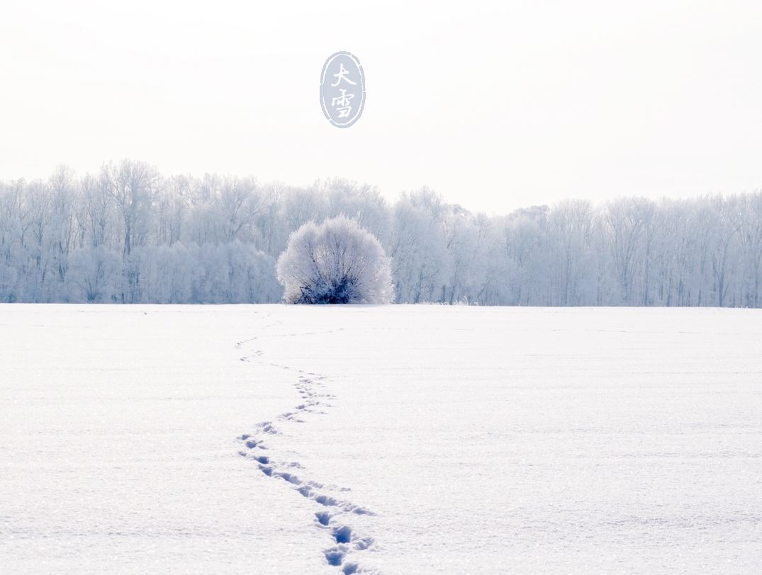 �´�ѩ���˸�˵˵