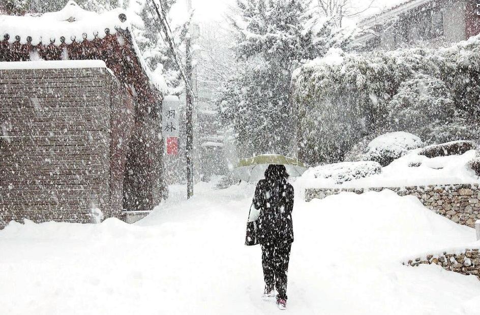 �´�ѩ���˸�˵˵