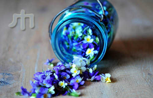 巾帼英雄勇赴刑场历史故事