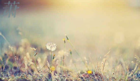 萧何追韩信历史故事