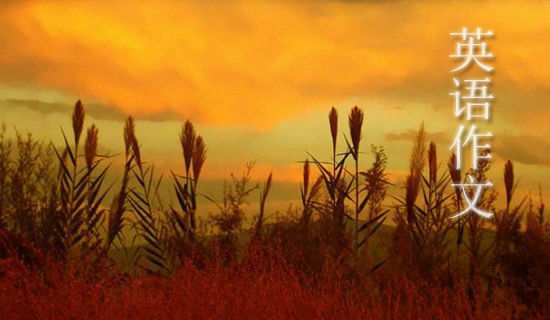 我们怎样过教师节优秀英语作文