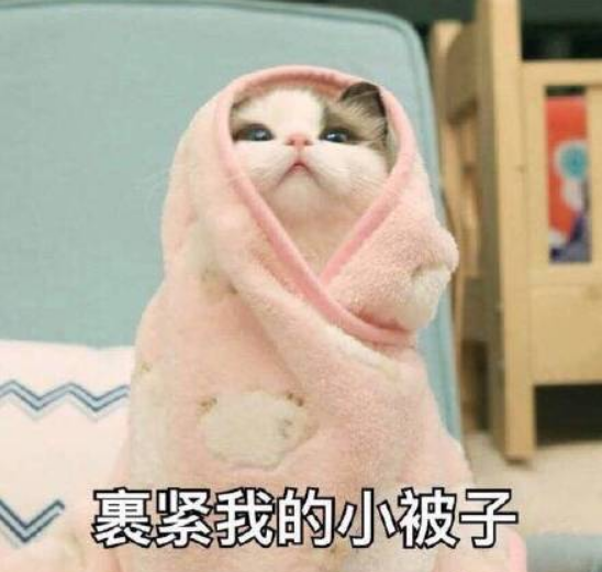 ���ӱ��ż���˵˵