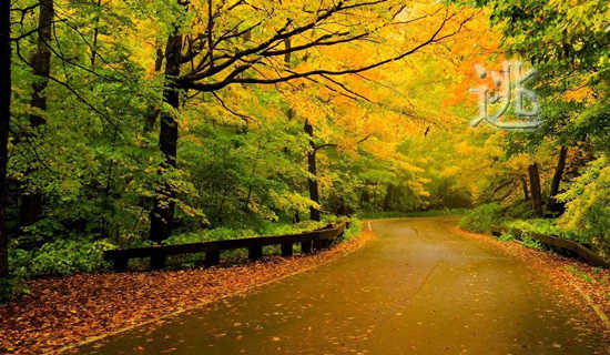 逃离现场的歌词