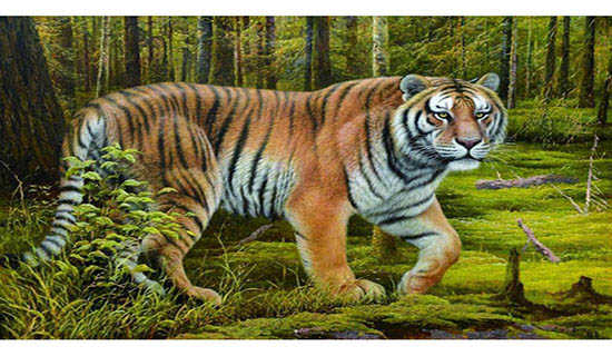 �������ݴ��ͼƵ���ʷ����