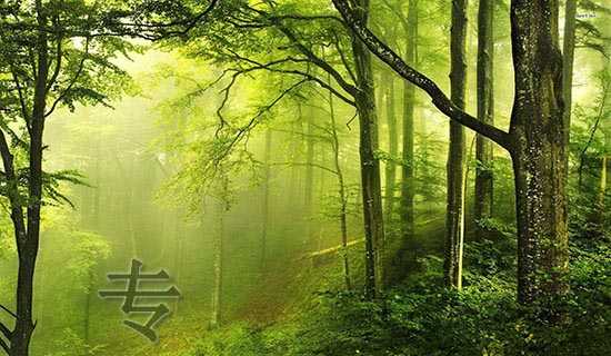 ר������