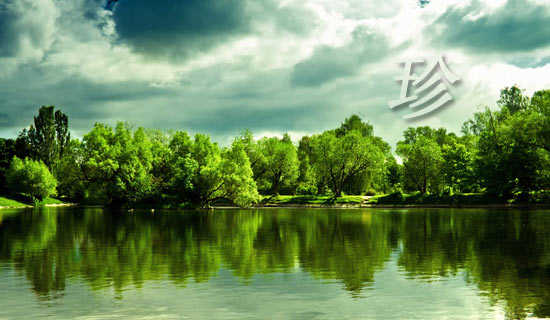 ��������������ʷ����