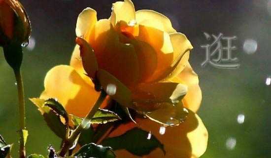 �䳬��Сѧ�ռ�