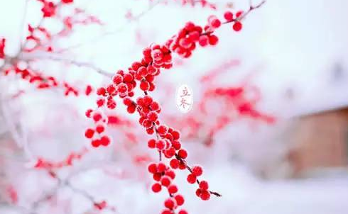 ��������Ȧ����˵˵