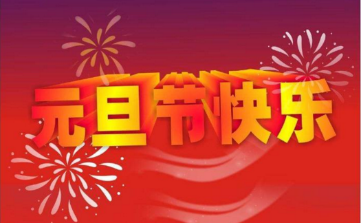 关于元旦的作文500字5篇