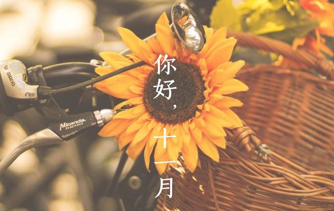 11�����˵˵