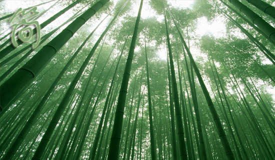 ��򵥵�ʫ��