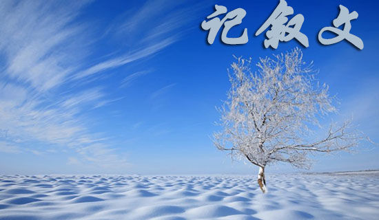 母爱无边记叙文