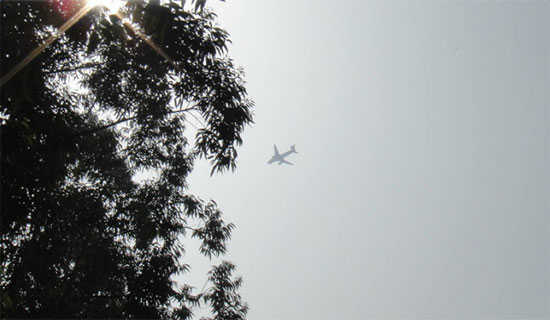 Pretty Night�ĸ��