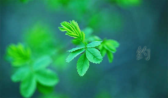 Լ��Ϧ��ȥ�ͺɵ�ʫ��