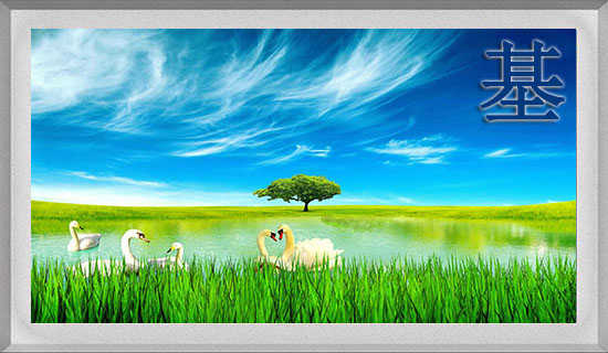 ����֪ʶ�⡶���������ߡ�