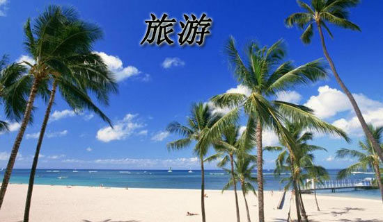 �ҵļ�������Сѧ������600��