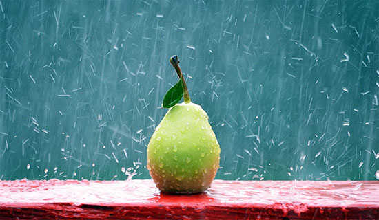 �����Ƶ���ʫ��