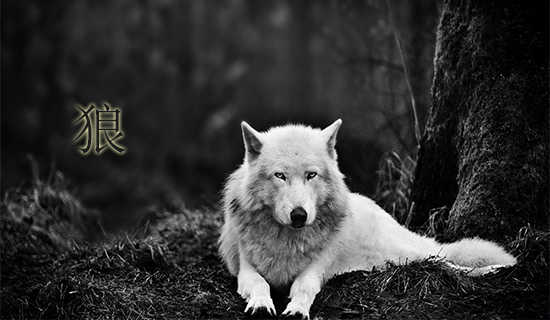 ����׵Ķ�ƪ����