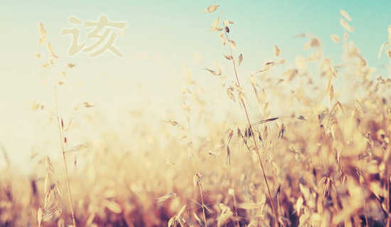 �÷����˵�˵˵