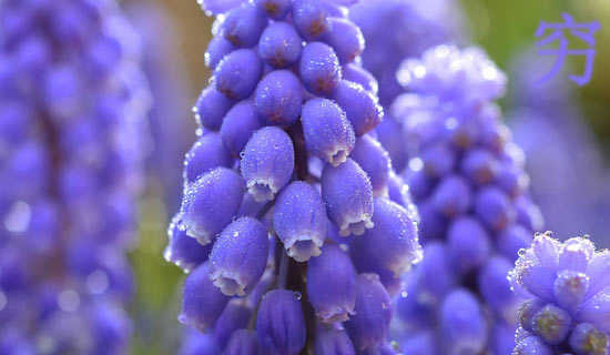 �����ˡ���д���㷶��