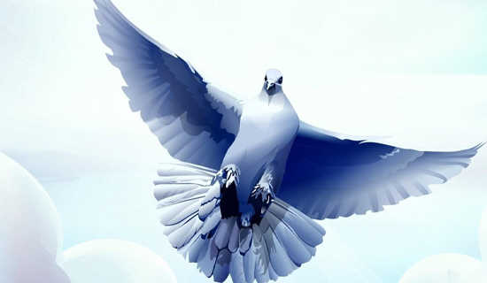 ���оȻ���Ԣ�Թ���