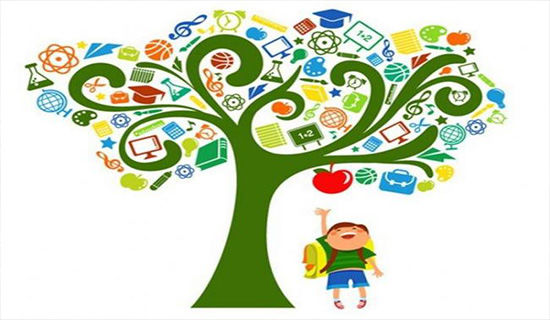 小学法制教育的测试题