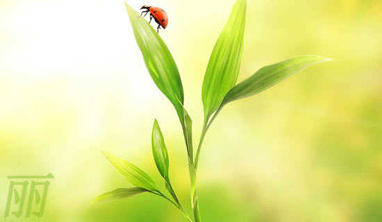 Ѥ����ʵ��ļ�ʫ��