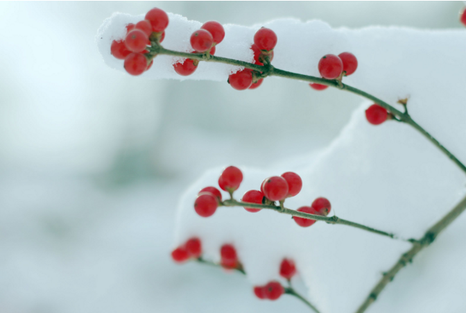 ��ѩ��Ψ��˵˵