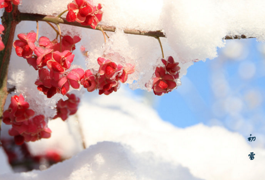 ��ѩ��Ψ��˵˵