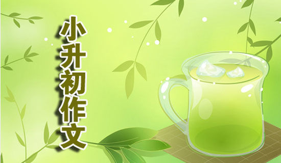 С����ģ�����⾫ѡ15��