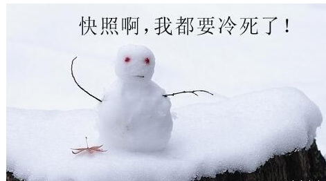 ��ѩ������Ȧ�̾�˵˵