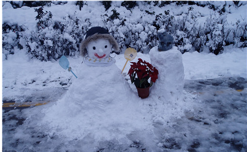 ��ѩ������Ȧ�̾�˵˵