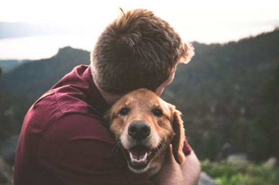 ���û������۵�˵˵