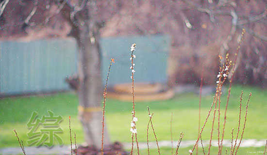 �ۺ���ѧϰ���ⳣ����ʽ�������