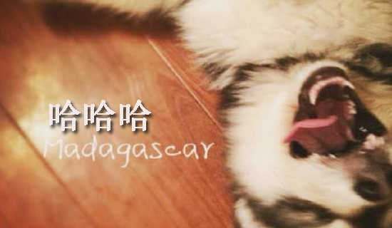 ¹þ´úµÄÁ½Ê×Ê«¸è̽ÎöÆä½ø»¯ÏòÉÆÂÛÂÛÎÄ