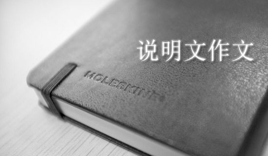 养蜗牛记作文500字