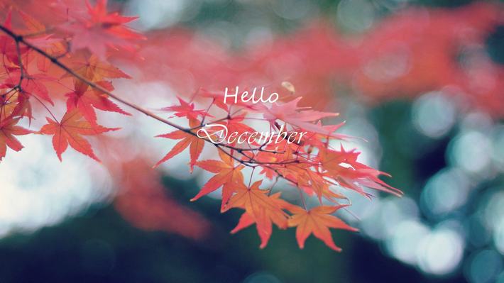 ʮһ���ټ�ʮ�������˵˵