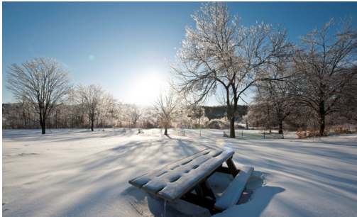 ��ѩ�Ķ���˵˵