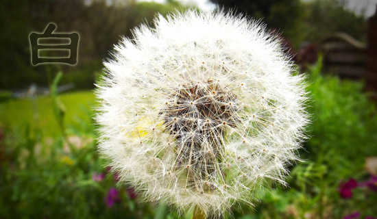 �׹����Ҹ���ʵ����