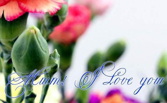 ���μ�У���йܰ�ѧ���ҳ���һ����